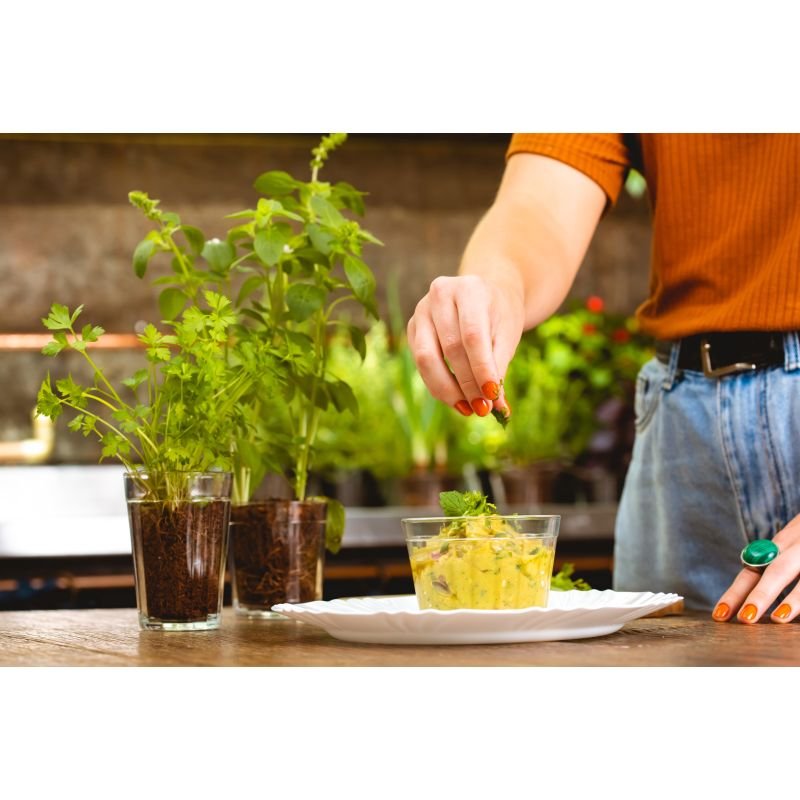 COPO AMERICANO ROCKS 300 ML AVULSO (COD PR 25100200728587) - COPO AMERICANO