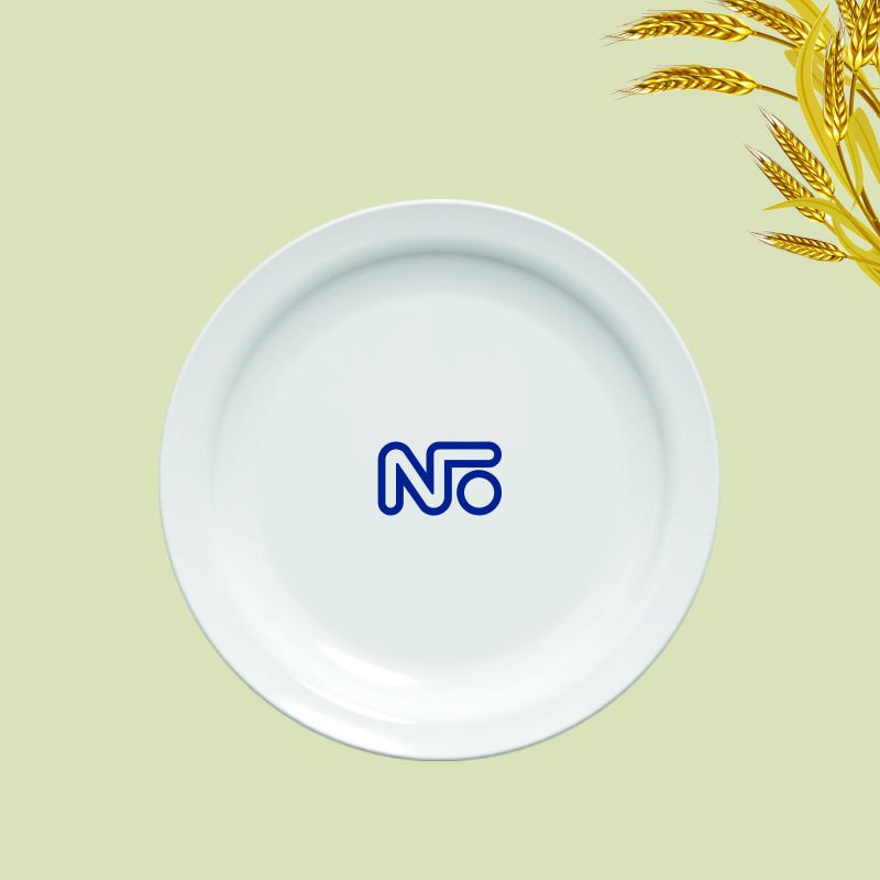 PRATO GOURMET RASO OPALINE 23,5 CM (COD PR 57480201098003) - DURALEX